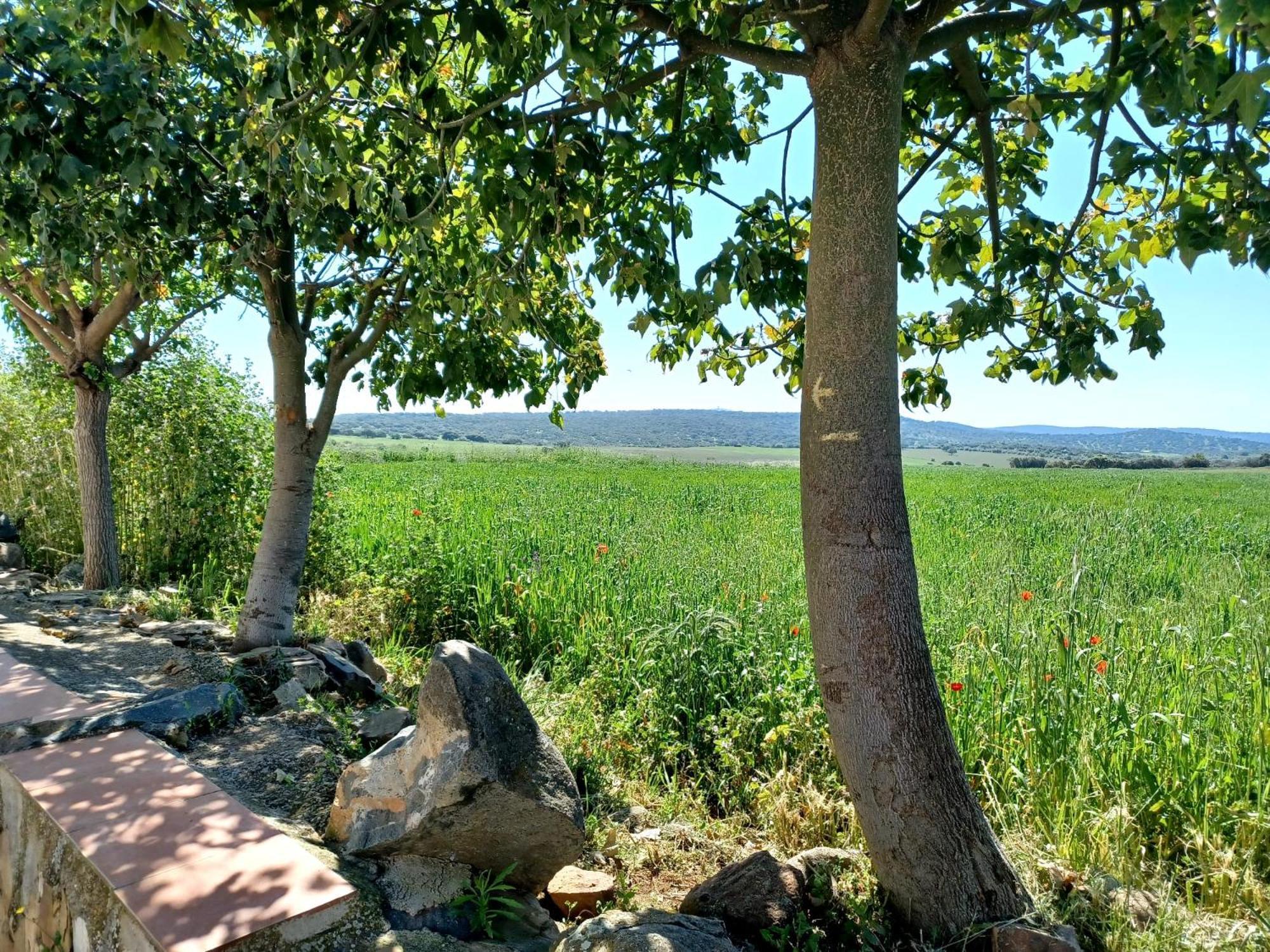 Casa Bibiana Villa Posadilla Dış mekan fotoğraf