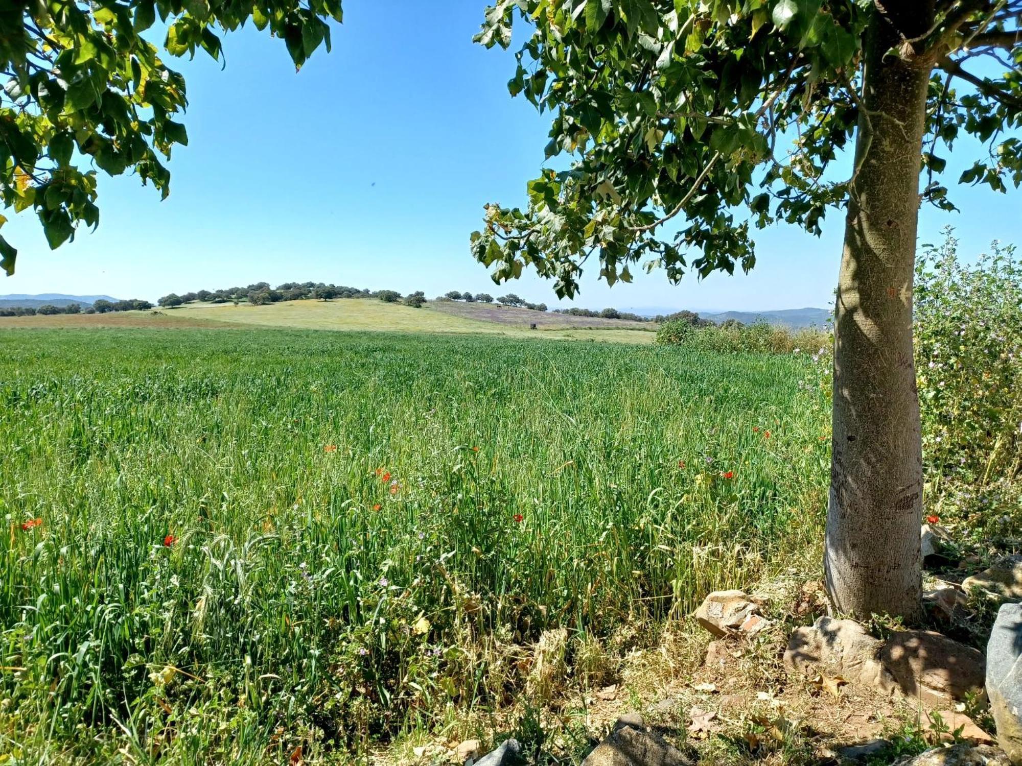 Casa Bibiana Villa Posadilla Dış mekan fotoğraf